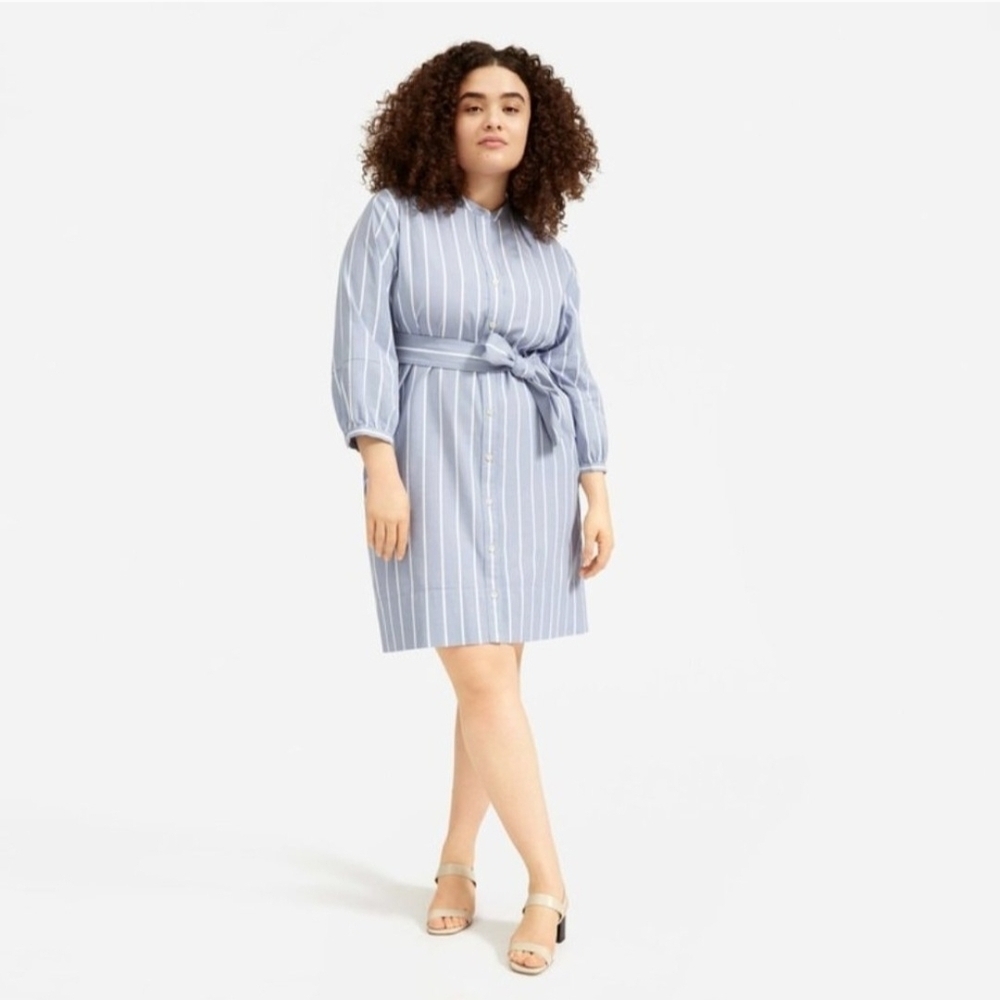 EVERLANE The Cotton Weave Collarless Shirt Dress